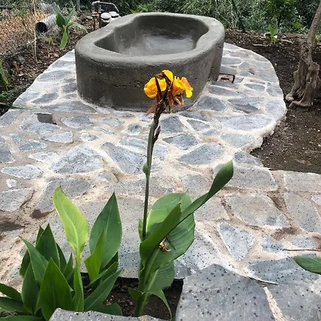 Califurnia De Icod De Vinos Βίλα Icod De Los Vinos