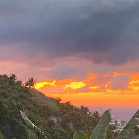 Califurnia De Icod De Vinos * Icod De Los Vinos