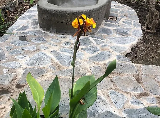 Califurnia De Icod De Vinos Villa Icod De Los Vinos