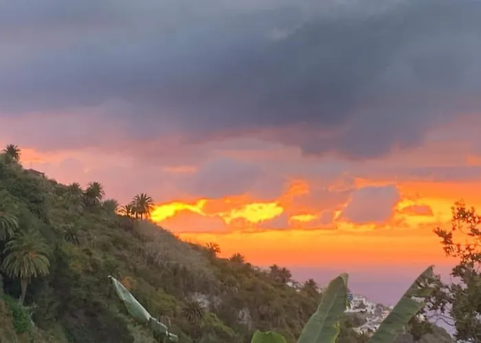 Califurnia De Icod De Vinos * Icod De Los Vinos