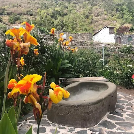 Califurnia De Icod De Vinos Villa *